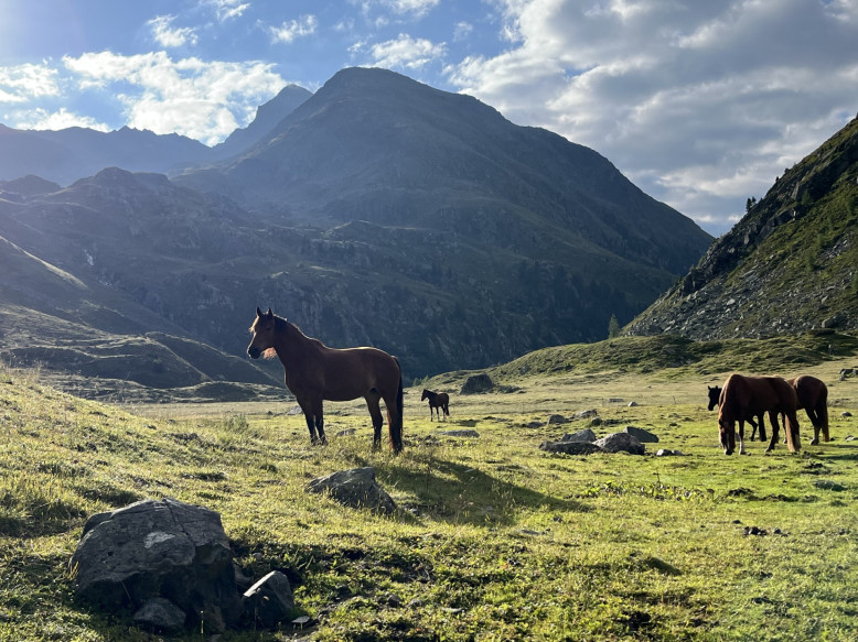 Alp Funtauna Graubünden